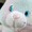 Neko141414