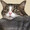 ユーザーのアイコン画像