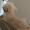 保護犬うーる