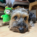 アオイとユウナ