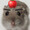 ピョーートル1世