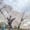 nikumaru292929