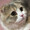 さくもちc