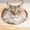 富豪が飼う猫