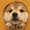 ユーザーのアイコン画像