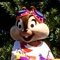 mogmog86
