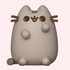 Pusheen the Cat