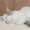 ゆこ9696