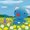 _pon_