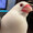 でんすけ2013