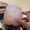 popo_2024