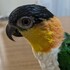 奈良のたけちゃん