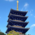 ハチワレばあば