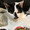 luv2eat