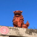 世界を旅する青とんぼ