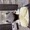 a6637292934