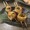 higo_urmet2