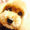 りりーふう
