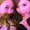 chinami0712