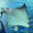 海とウクレレ