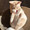 renren0141