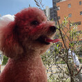 名古屋のグルメサラリーマン