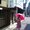 miss-yoshimi