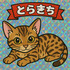 とらきち先生