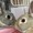 ユーザーのアイコン画像