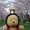 POOH821