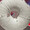 Alf_S