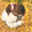 penguin__3