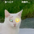 ご一緒にホタテはいかがですか？