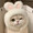 meow_gourmet