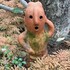 つみれ絨毯