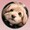 ボボさま