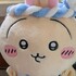 フィガロとプララの飼い主