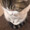ねこすけ22