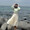 rio_k0226