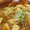 ラーメン大臣.