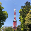 リオンクリスター