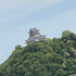 くらら427
