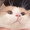 ユーザーのアイコン画像
