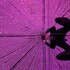 東京しゃけおにぎり物語