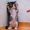 はるねこlove