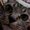 とうふ猫