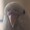 ユーザーのアイコン画像