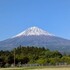 せりんご@