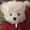 baseballteddy