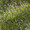 abf03919177